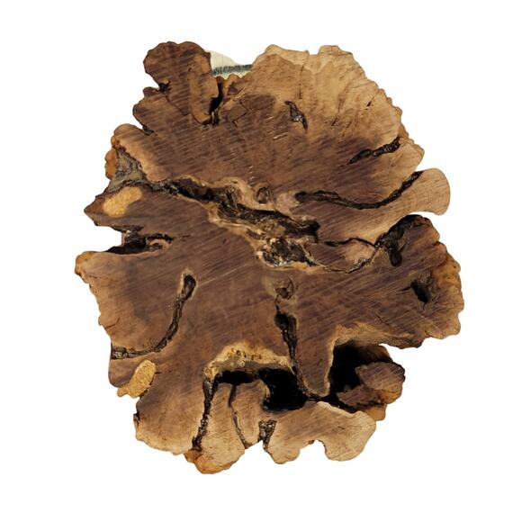 Blue Jay Original Hand Carved Wooden Bird Figurine Vintage Art Sculpture - Picture 9 of 10